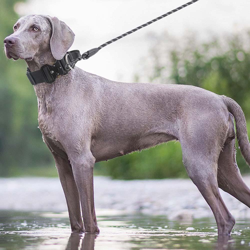 Dog Collar Explosion-Proof Tactical Collar with Handle