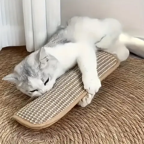 Cat Pillow Scratch Pad, Perfect Gift for Cats, High-Quality Pet-Safe Material, Interactive Cat Toy, Fun Design