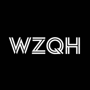 WZQH Women's Clothing