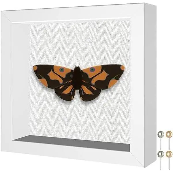 Small 5x5 Shadow Box Frame , Soft Linen , Push Pins Included, Shadow Box Display Case, White