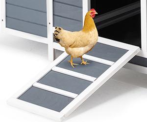 YODOLLA 56" Large Chicken Coop Wooden Chicken Cage Hen House, Outdoor Yard Poultry Pet Hutch for Small Animal Coops with Nesting Box