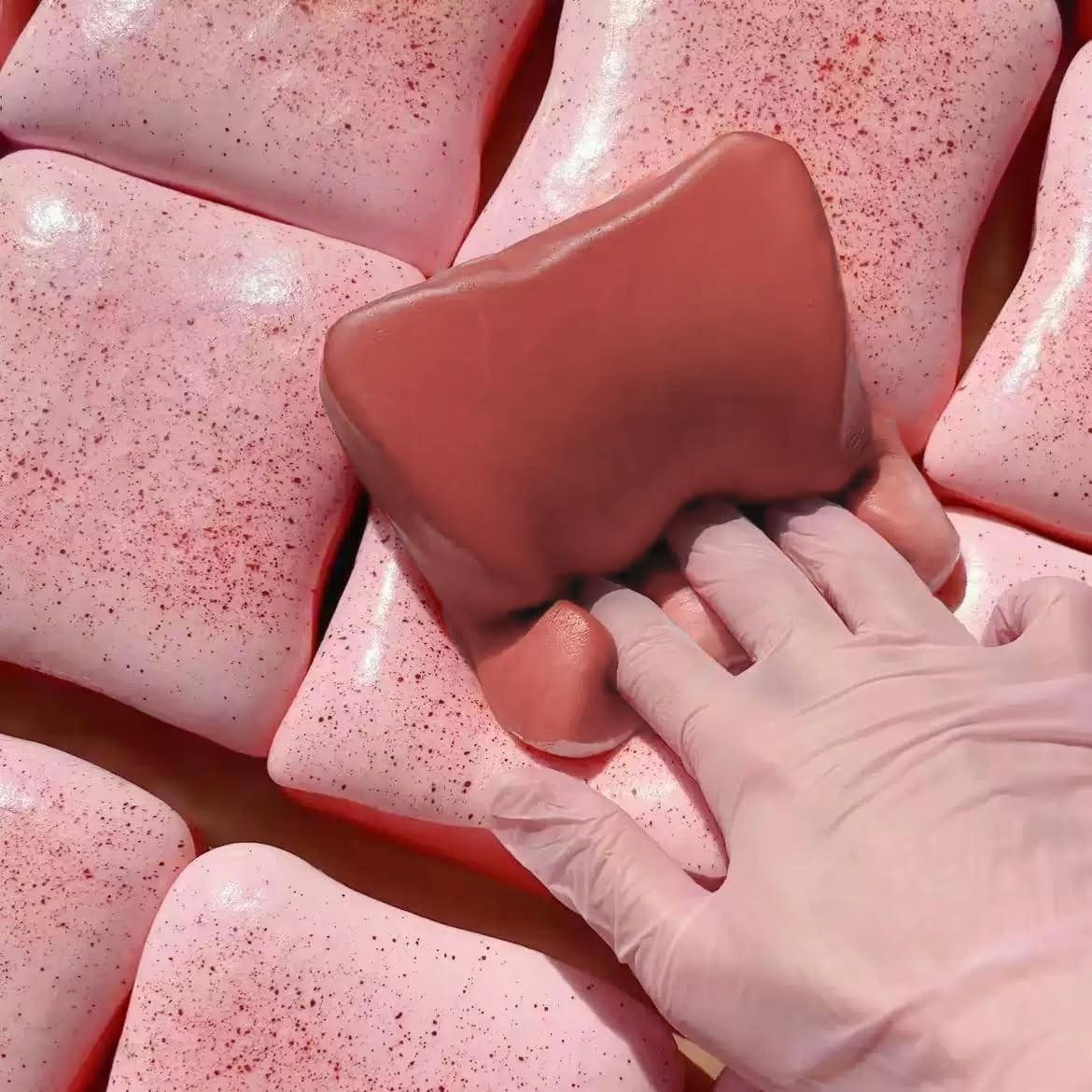 Stress Relief Toy, Squishies, Ultra Soft Strawberry Toast Slow Rebound Stress Ball, Realistic Bread Shape Squeeze Toy, Large Food Stress Reliever