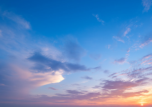 Amazing Wonderful House