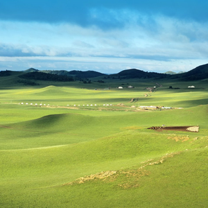 Good Things Selected