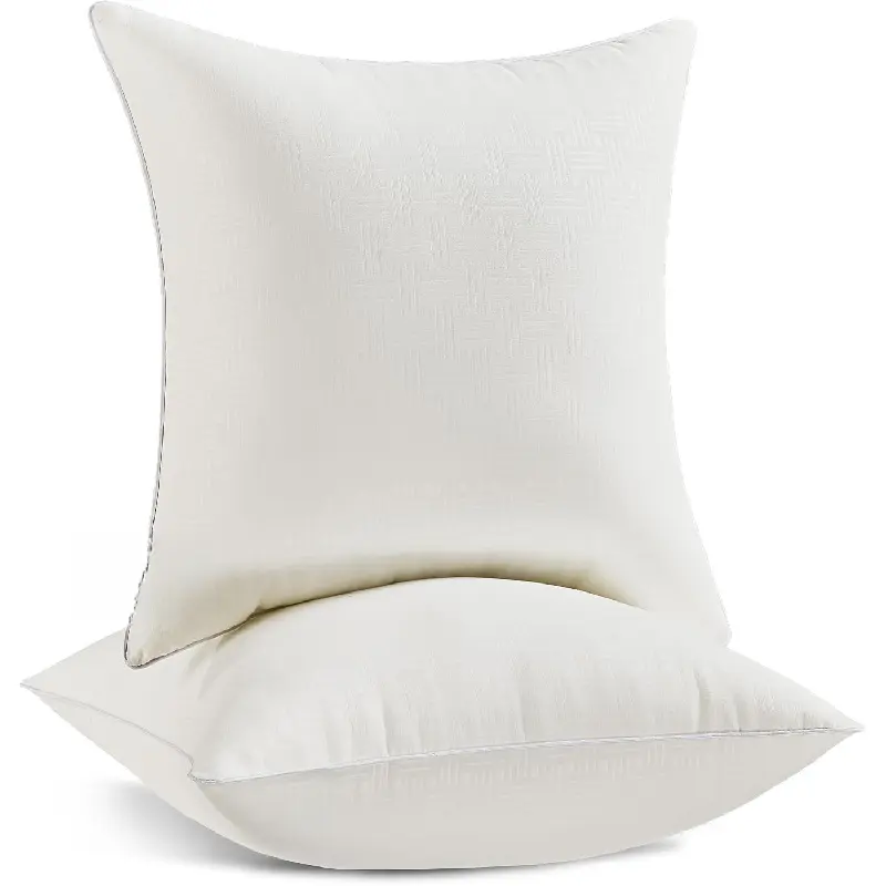 24x24 Pillow Inserts Set of 2 - Decorative 24 Inch Throw Pillow Insert, Soft Fluffy Square Throw Pillows for Couch Bed, Beige Couch Pillow Insert Pair