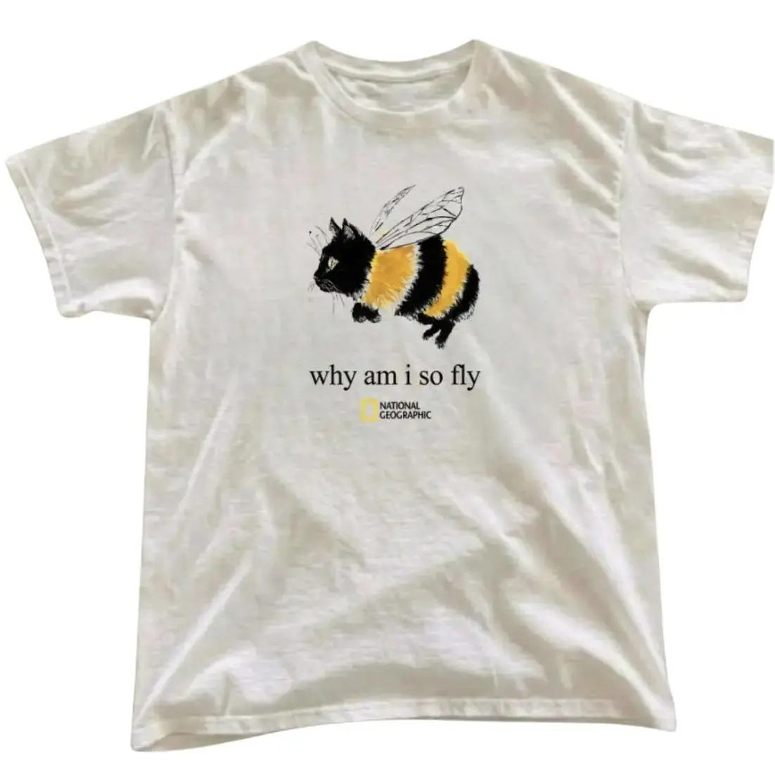 Bumblebee Cat Why Am I So Fly T-Shirt, Cat Lover, Animal Tee, Gifts Shirt, Unisex Vintage Graphic Tees Gothic Grunge Y2k Emo Scene Amity Affliction Style Clothes Men Women Streetwear