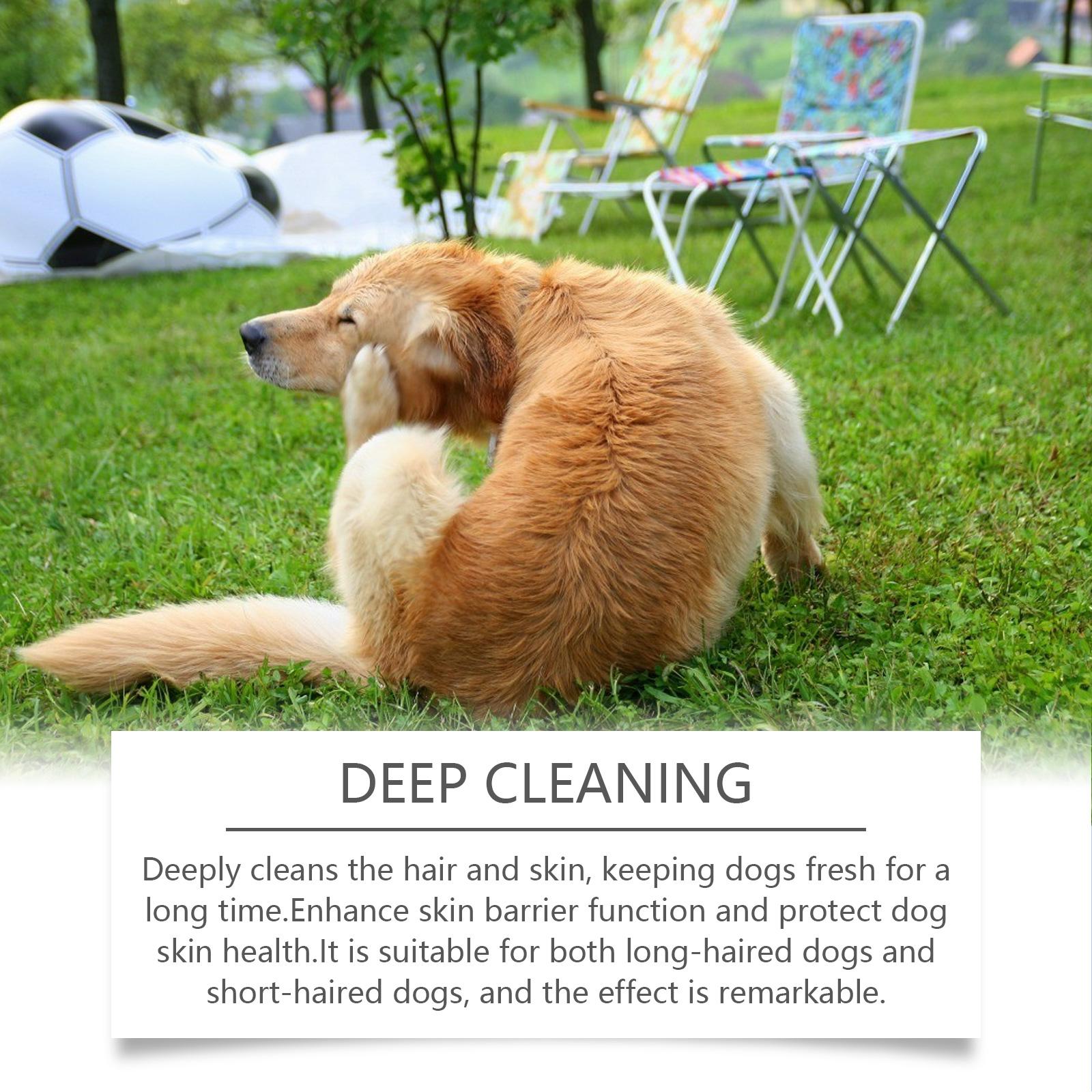 Yegbong Shampoo For Dogs Gentle Cleansing Shampoo For Dog Hair Moist, Smooth And Tangle-Free