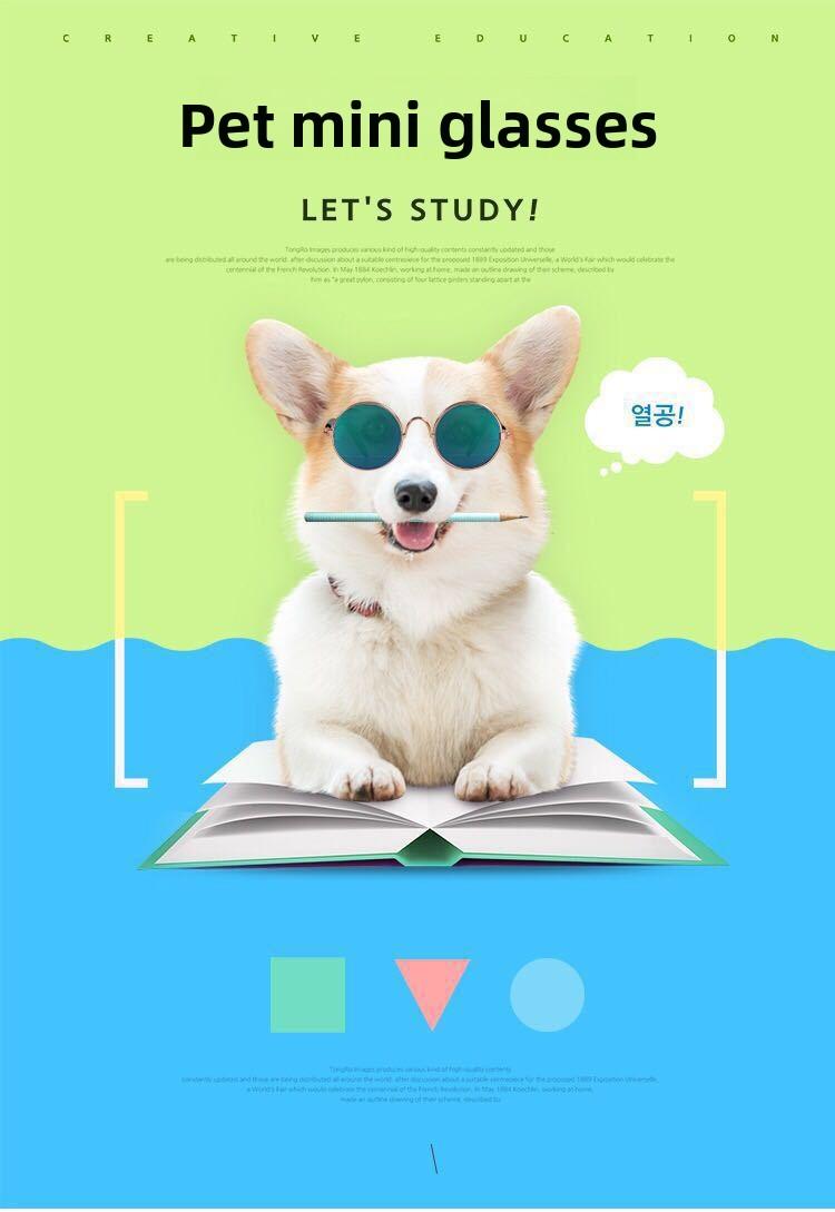 Dog Cat Pet Sunglasses Creative Trendy Sunwear Cute Accessories Mini Eyewear for Small Animals Adjustable Fit Summer Outdoor Play