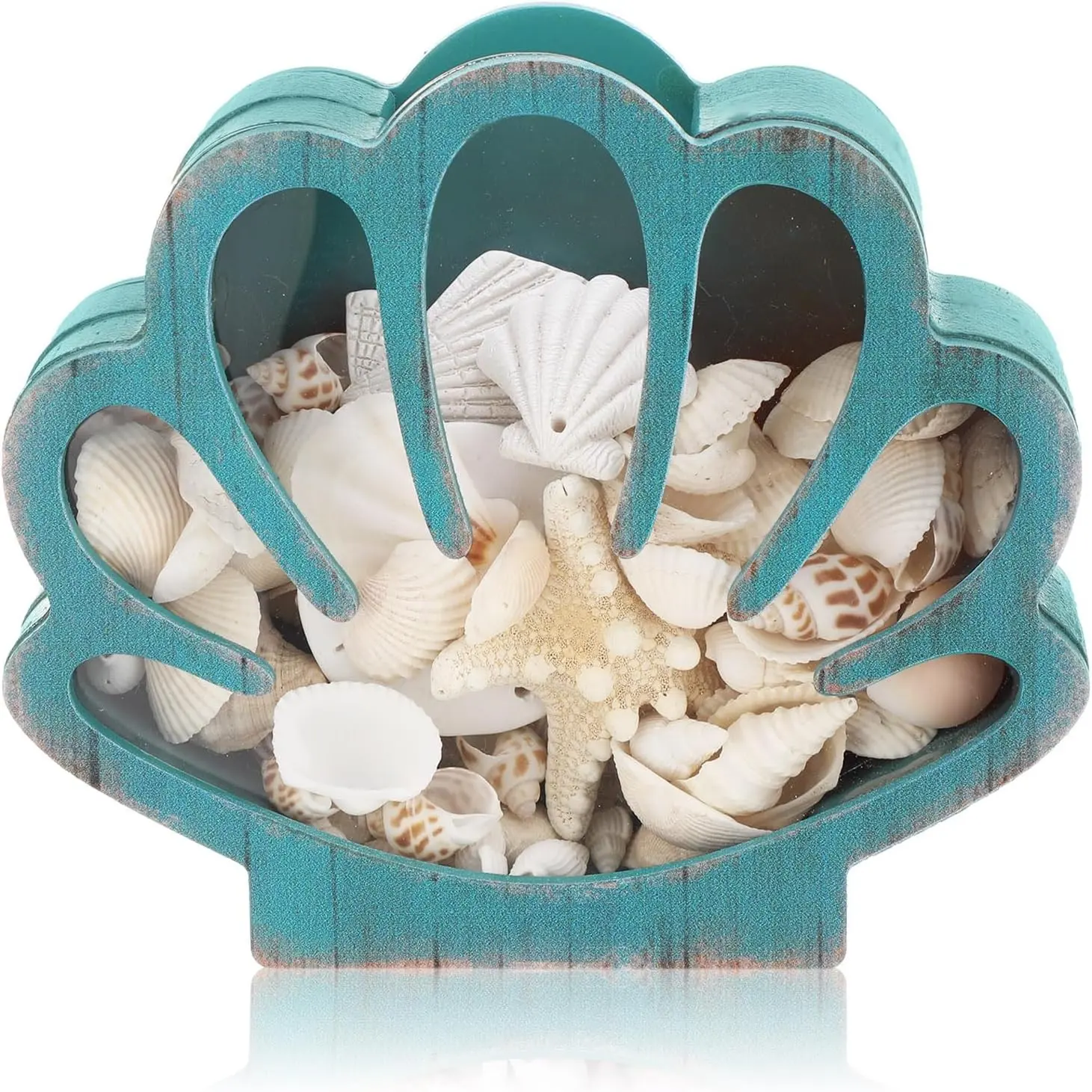 CroBlissful Wooden Seashell Display Box with Clear Acrylic Window, Small Starfish Shark Tooth Sea Rock Collection Storage Case for Home Decor Gift, Green (Shell)