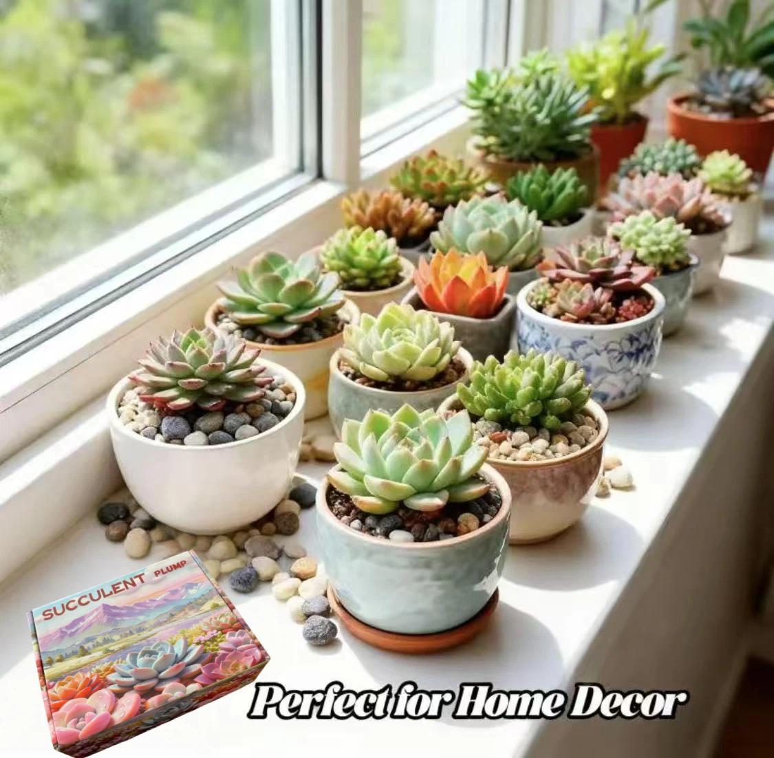 Mix & Match Succulents (12/15/24/30 Pcs) – Wide Variety, Easy Care & Perfect for Beginners. Ideal Desk Decor! Plant