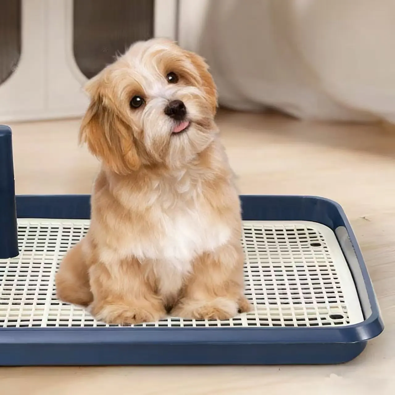 Indoor Standing Open Design Small Dog Potty Station, with Urine Collection Tray, Puppy Training Toilet, Pet Accessories