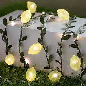 3D Lemon LED String Lights USB/Battery Operated Light String with Remote Timer 10FT 40LEDs Lemon Light Bulbs with Branches Leaves Fairy Lights for Bedroom Birthday Garden Party Decorationsfidget toys