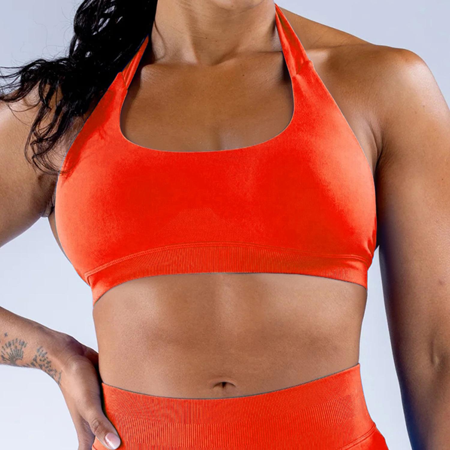 Seamless High Stretch Halter Sports Bra, Ultra Soft Matte Nylon Backless Criss Cross Workout Bra for Yoga Fitness