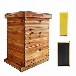 Bee Hive Box, 10 Frame Complete Beehive Starter Kit, Weatherproof Bee Hive Boxes Includes 2 Deep Brood Box & 1 Medium Super Bee Box Dipped in 100% Beeswax with Cedar Wooded Frames and Wax Foundations for Beekeepers