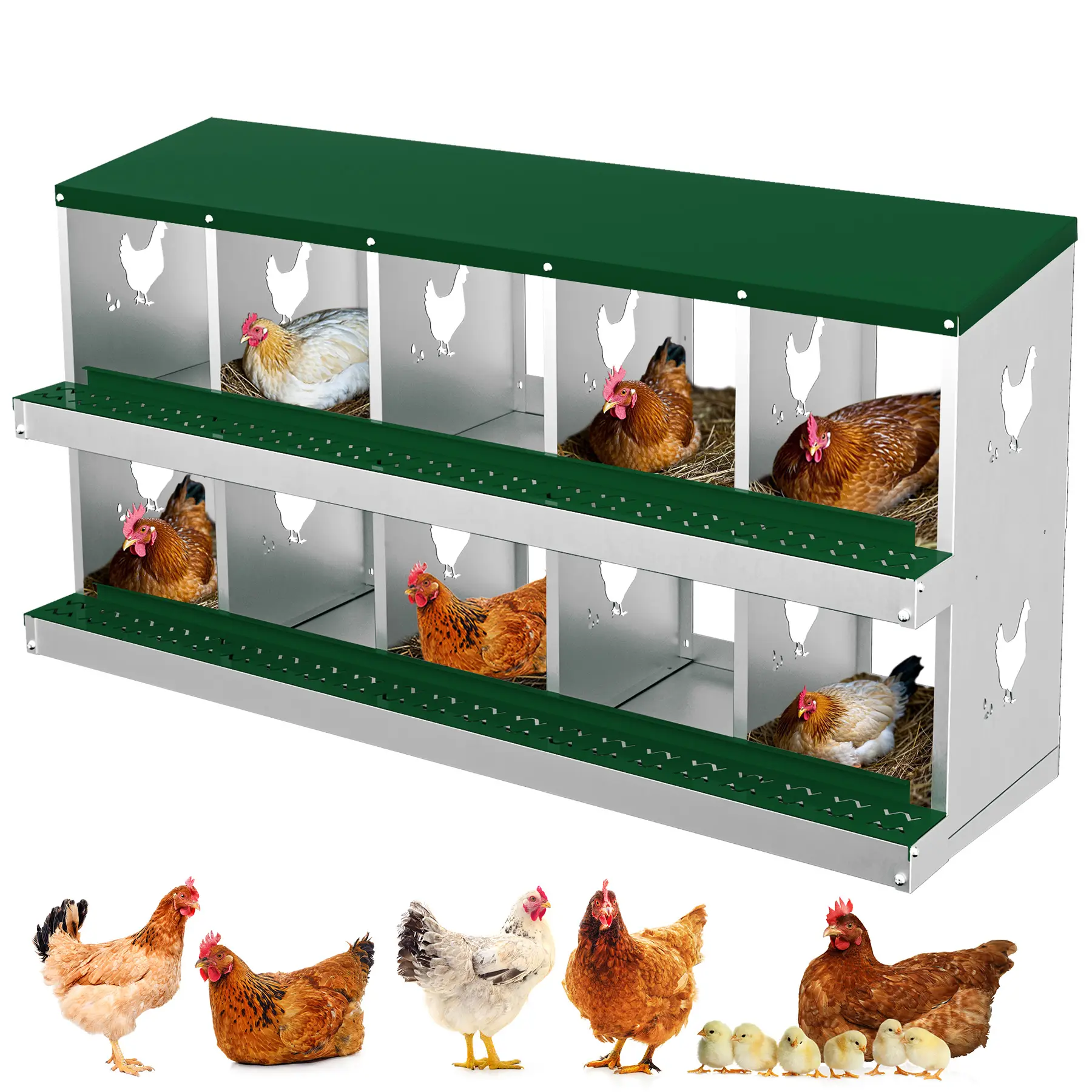 10-Hole Galvanized Steel Chicken Nesting Box with Roll Out Egg Tray, Heavy Duty Rustproof Ventilated, Spacious Compartments, Easy-Clean Design Coop Accessory with All Hardware, Ready in Minutes for Hens Ducks