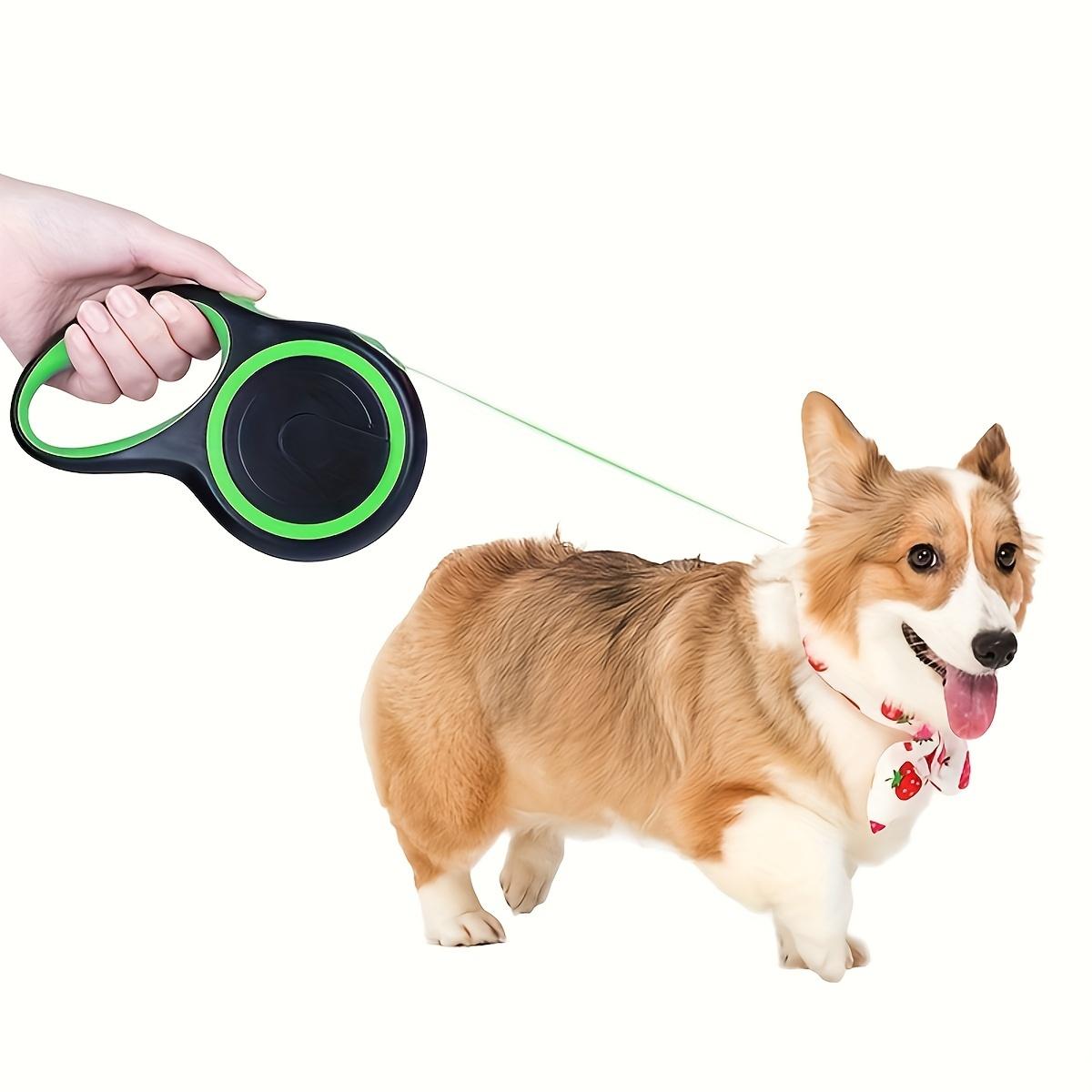 Retractable leash, suitable for medium-sized dogs, durable and comfortable, ideal for outdoor adventures.