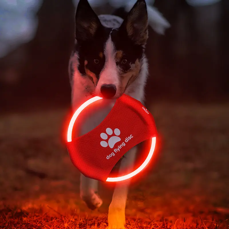 Pet Lighting Supplies LED Rechargeable Pet Light-Up Frisbee Dog Training Toy Pet Dog Toy Frisbee
