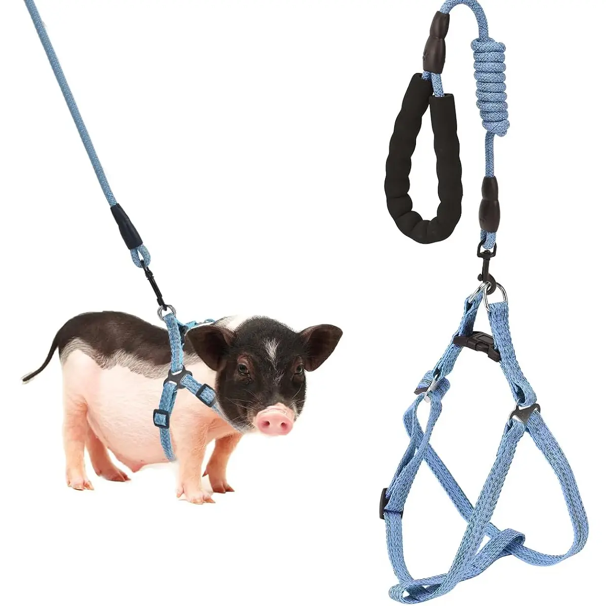 Adjustable Mini Pig Harness & Infinity Leash Set Pack, with Foam Carry Handle, for Small/Med Pet Pig Walking Training, Small Animal Collars & Harnesses & Leads Supplies