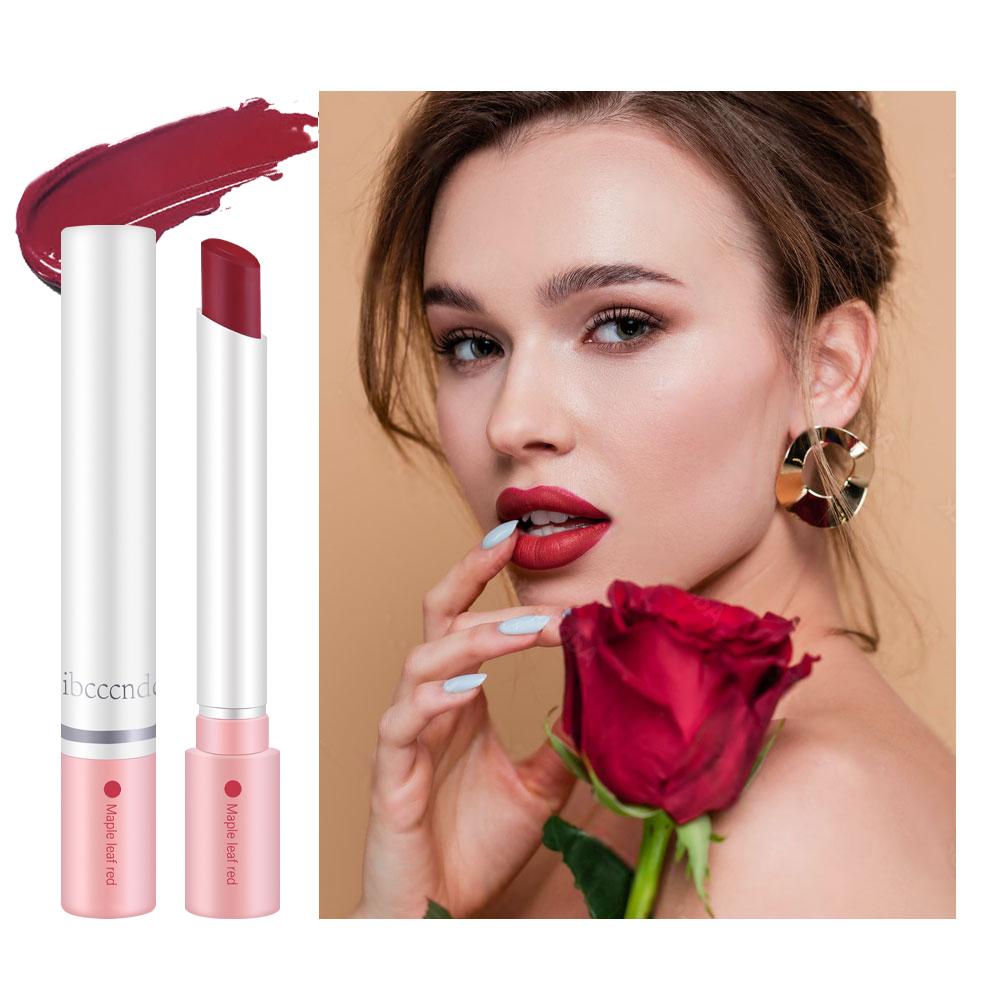 Long Lasting Matte Lipstick Set, Lipstick Beauty, 4 Counts/set Lipsticks Natural Tube Lipstick for Lip Makeup, Portable Girls and Women Makeup Accessories