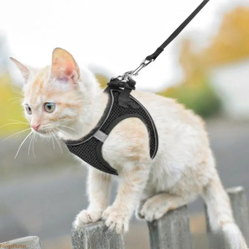 Anti-Escape Reflective Mesh Cat Vest Harness with Leash, Multi-Size Adjustable Soft Walking Jacket Suitable for Cats Up to 13 Lbs, Comfort Safe Outdoor Training Accessory for Kittens, Summer Wins Daily Pet Gear