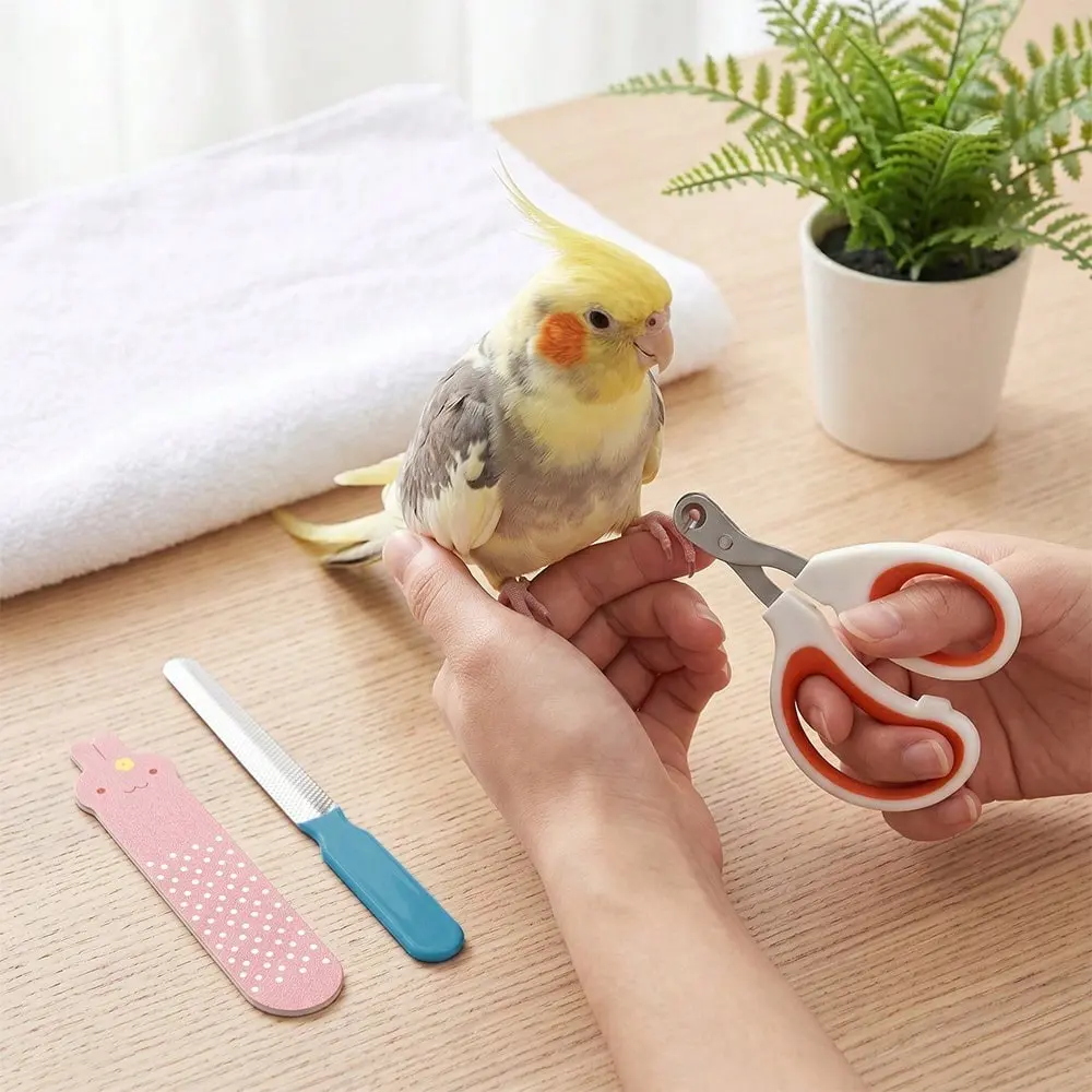 1 Set Pet Bird Nail Grooming Kit, Precision Nail Clipper, File & Beak Grinder Pet Bird Care Tools Set, Gentle Trimming Accessory Bird Grooming Set for Parrots & Small Birds, Stress-Free Nail Care