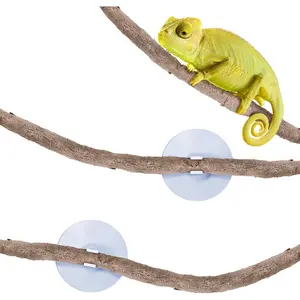 6 ft Reptile Vine for Terrarium, Flexible Climber Lizard Tank Decor, Ball Python Snake Climbing Accessories, Twistable and Bendable Habitat Decor Terrarium Vines for Chameleon, Bearded Dragonfidget toys