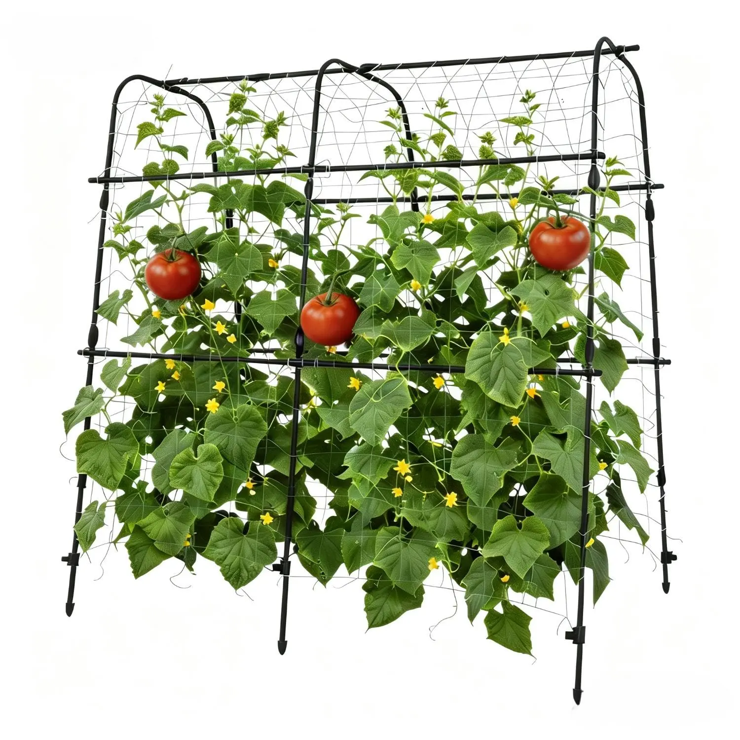 Heavy-Duty Rust-Resistant Garden Arch Trellis for Raised Beds – Metal Plant Support for Cucumbers, Grapes, Roses & Climbing Vegetables – Vertical Outdoor Garden Structure