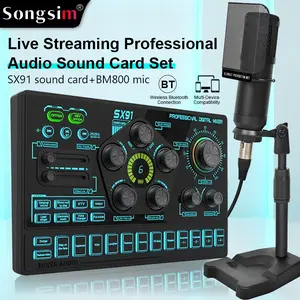Professional Live Streaming Mixer Sound Card Set, Sound Card Kit, Digital Sound Card, Sx91 Sound Card and Bm800 Condenser Microphone, OTG Lossless Transmission, PC/smartphone Compatible