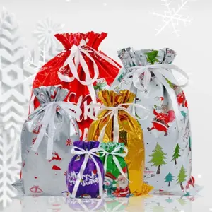 6 Piece Christmas Gift Bag Set, PVC Drawstring Packaging Bags, Holiday Gift Wrapping Variety, Christmas Theme PP Party Gift Bags