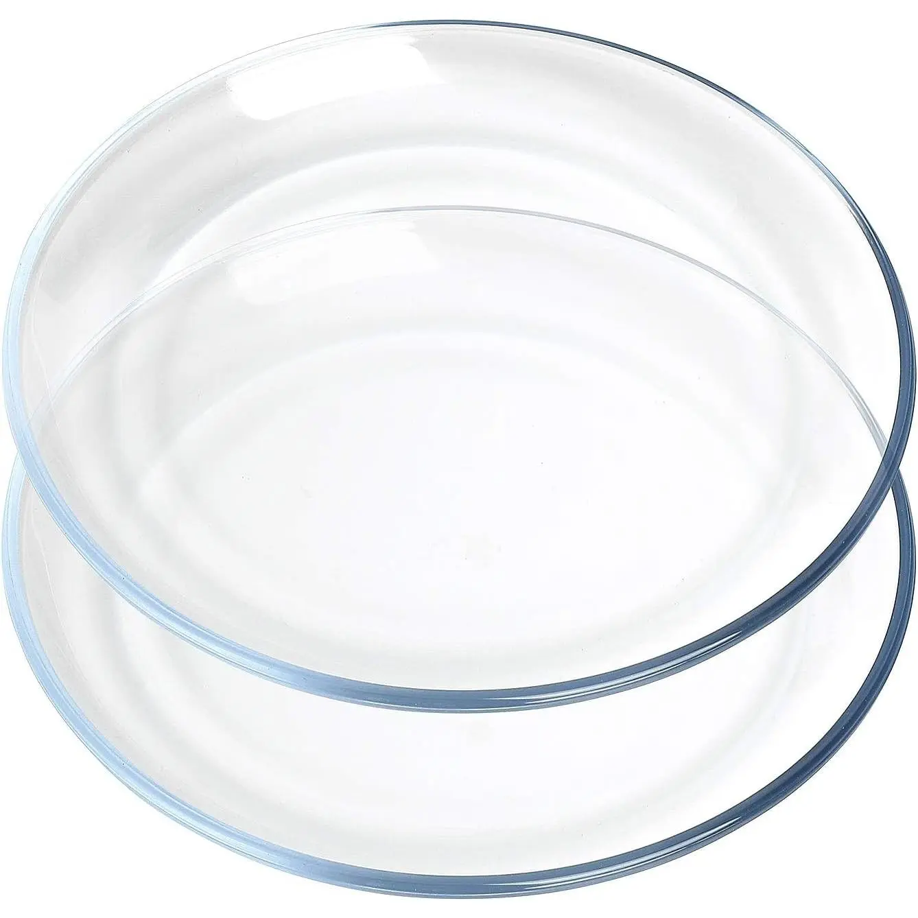 Basics Glass Plate Set, 10 inch Round Tempered Glass Dinner Plates, Glass Serving Dinnerware, Set of 2