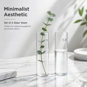 2-Piece High Transparent Glass Vase Set, Modern Cylinder Design with Handle, Wall Mountable. Premium texture, great for hydroponic plants and home decoration.