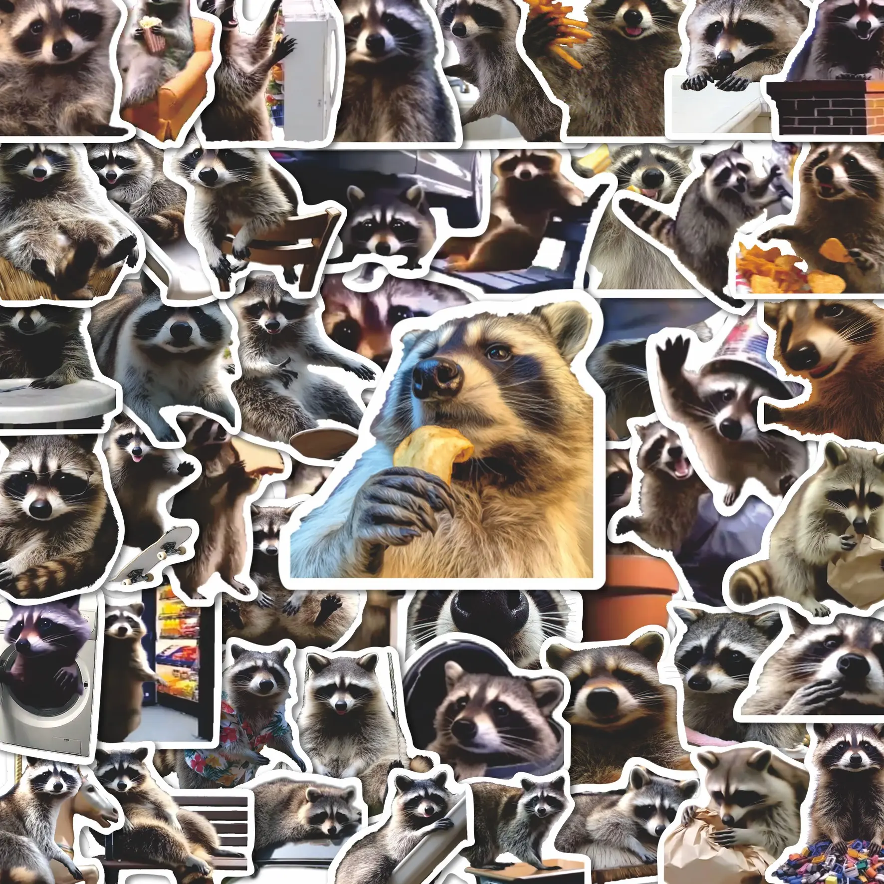 50Pcs Funny Raccoon Meme Faces Stickers Pack, Waterproof Hilarious Realistic Raccoon Meme Vinyl Decals for Water Bottle, Laptop, Phone Case & Scrapbook, Meme & Animal Lover Gift