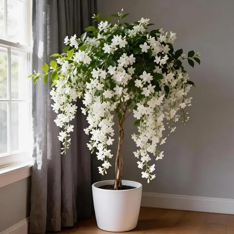 SeedsClimbing Jasmine Flower Seeds for Planting-Non-GMO Jasmine Gardenia Plant Fragrant Flower Garden Home Trailing Jasmine Seeds summervibes