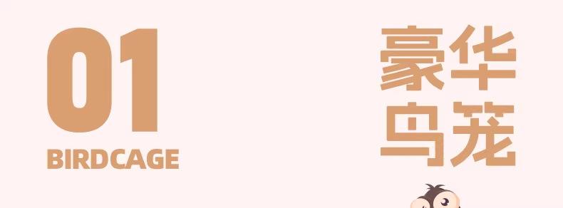 New Transparent Villa Bird Cage Double Layer Large Size Anti-Splash Horizontal Wire Special for Parakeet Cockatiel Budgie Parrot with Pet Toy Accessories