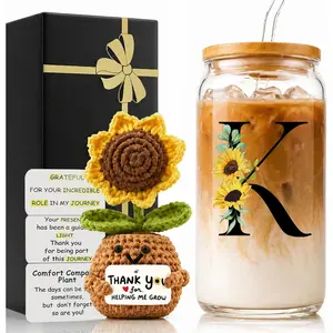 2 in 1 Personalized Glass Drinking Cup & Emotional Support Crochet Appreciation Gift for Paraprofessional Mom Christmas Mother's Day from Daughter Son
