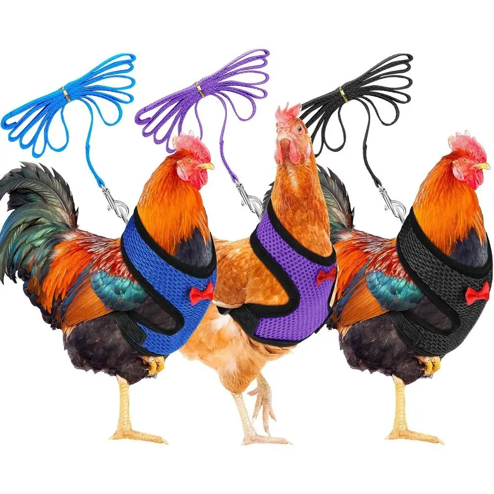 Farm Animal Poultry 3-Piece Nylon Harness & Leash Set for Chicken, Goose, Duck - M Size, Lightweight, Compact, Easy to Carry, Breathable, Comfortable Touch, Adjustable Elastic Vest with Quick Release Snaps, No Tugging Effect (Blue, Black, Purple)
