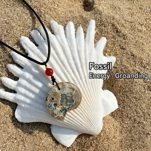 Natural Ammonite Fossil Pendant Necklace, Handmade Spiral Shell Healing Crystal Jewelry for Men Women