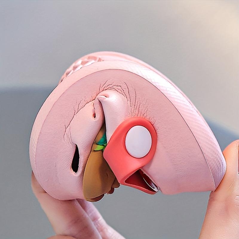 1 Pair of Cute Capybara Closed Toe Slip-