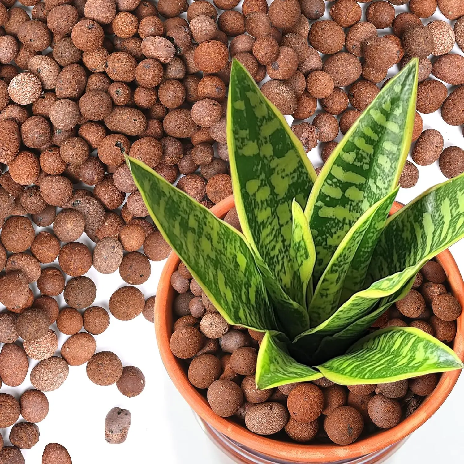 Leca Clay Pebbles for Plants, 2.3qt 10-20 mm Clay Balls for Indoor Plants, Natural Clay Pebbles for Orchid Potting Mix, Hydroponic, Leca Pots, Plant Drainage, Garden Soil