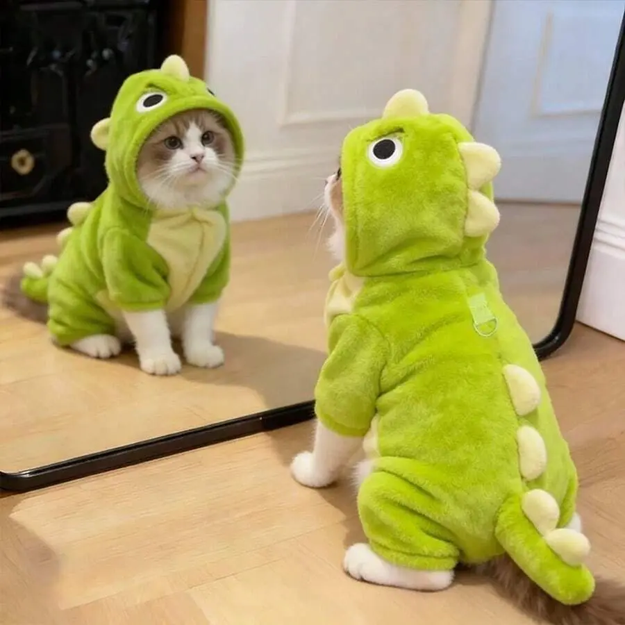 Cute Pet Cat & Dog Clothing, Cat Supplies, Small Dog Accessories, Dinosaur Hoodie, Soft Small Pet Clothing Set, Suitable For Cats And Puppies, Puppy Supplies