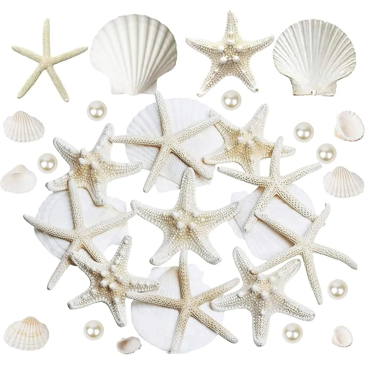 16PCS Starfish and Scallop Shells for Crafts 3"-4" with Pearls | Large Seashells Natural Sea Shells for Crafting Beach Party Christmas Decor DIY Wedding Fishtank