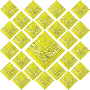 24 Pcs Bandanas Bulk for Women Men 22 x 22 Inch Paisley Outdoor Headband Cowboy Handkerchief SummerGift.
