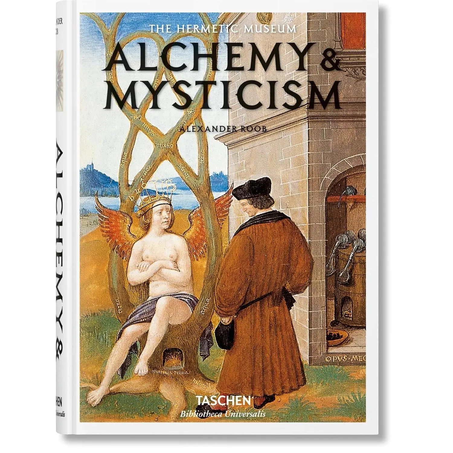 Alchemy & Mysticism (Hermetic Museum)
