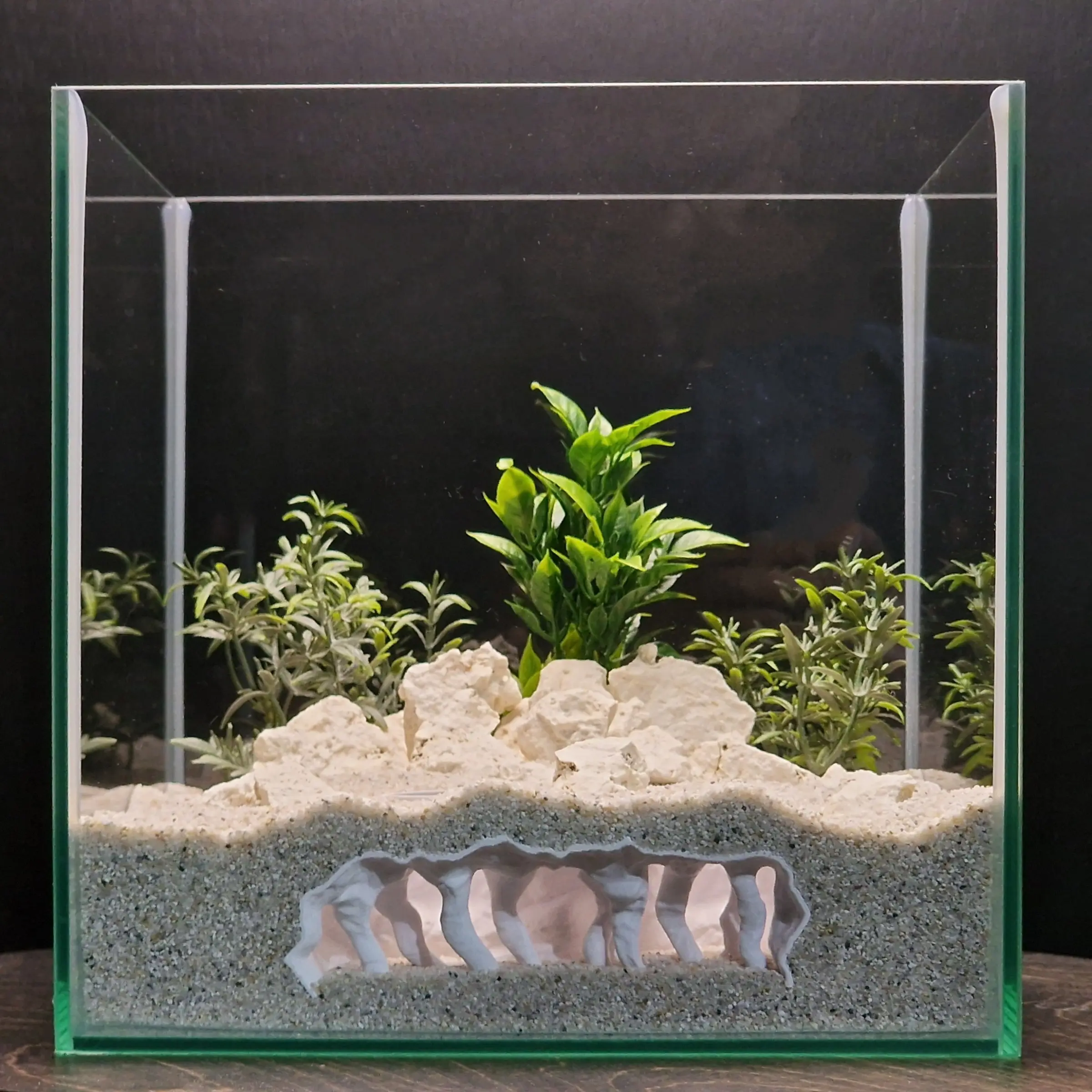 Dense Mangrove Root Dual Entrance Cave for Aquatic Life, Rock Surface Design, Aquarium Fish and Shrimp Habitat, Tank Decoration, Fish Tank Decorations, Aquarium Supplies