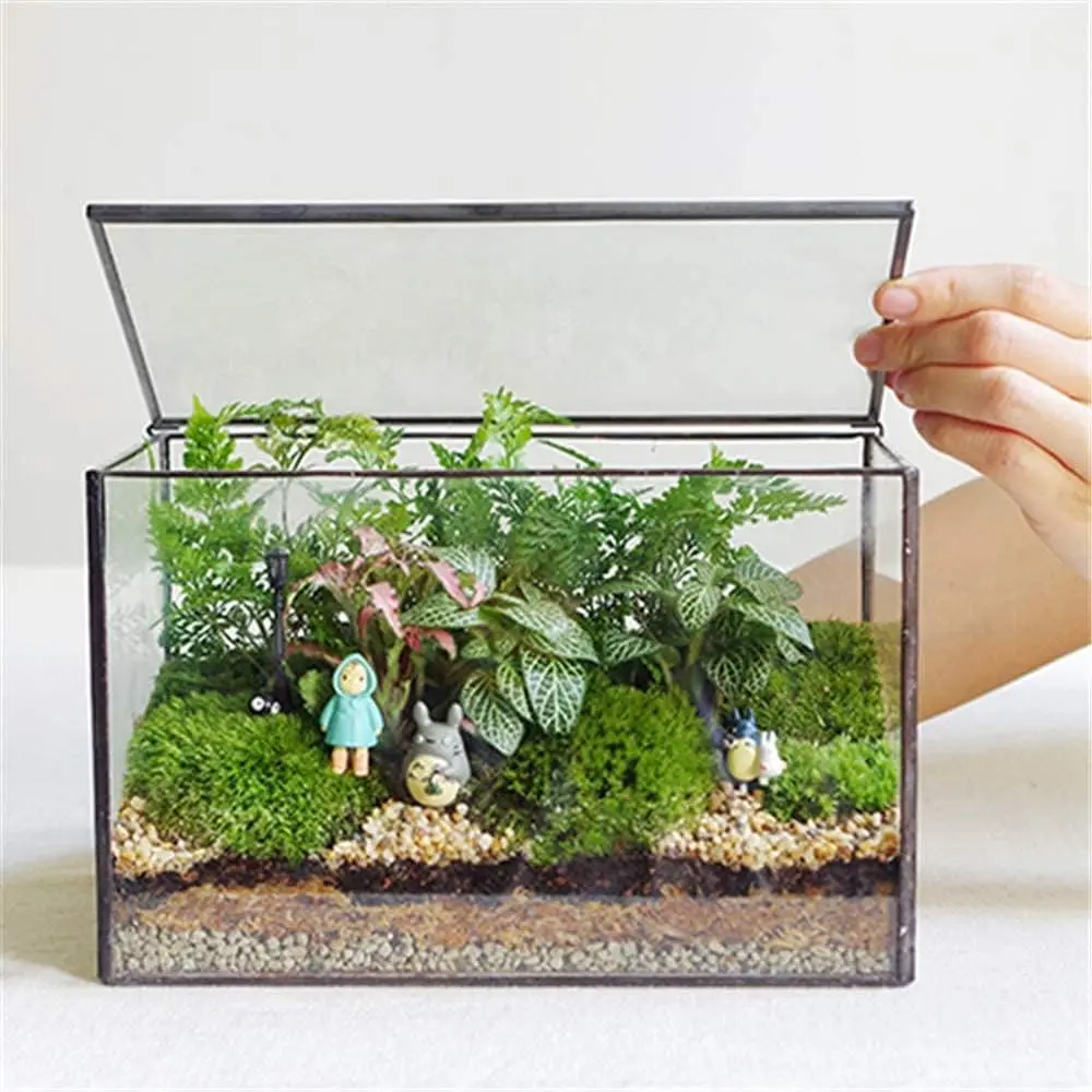 Glass Plant Terrarium with Lid, Rectangular Black Metal Frame Box for Indoor Plants, Clear Glass Container for Moss, Succulent, Fairy Garden, Tabletop Decor DIY Gift, 8.3”L x 4.7”W x 5.5”H