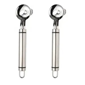 Home Master 2 PCS Stainless Steel Cactus Household Peeler Set - Ergonomic Blade Tool Utensils for Peeling, Slicing, and Cutting - Silver Color, Easy to Clean, Hanging Design for Kitchen Tasks