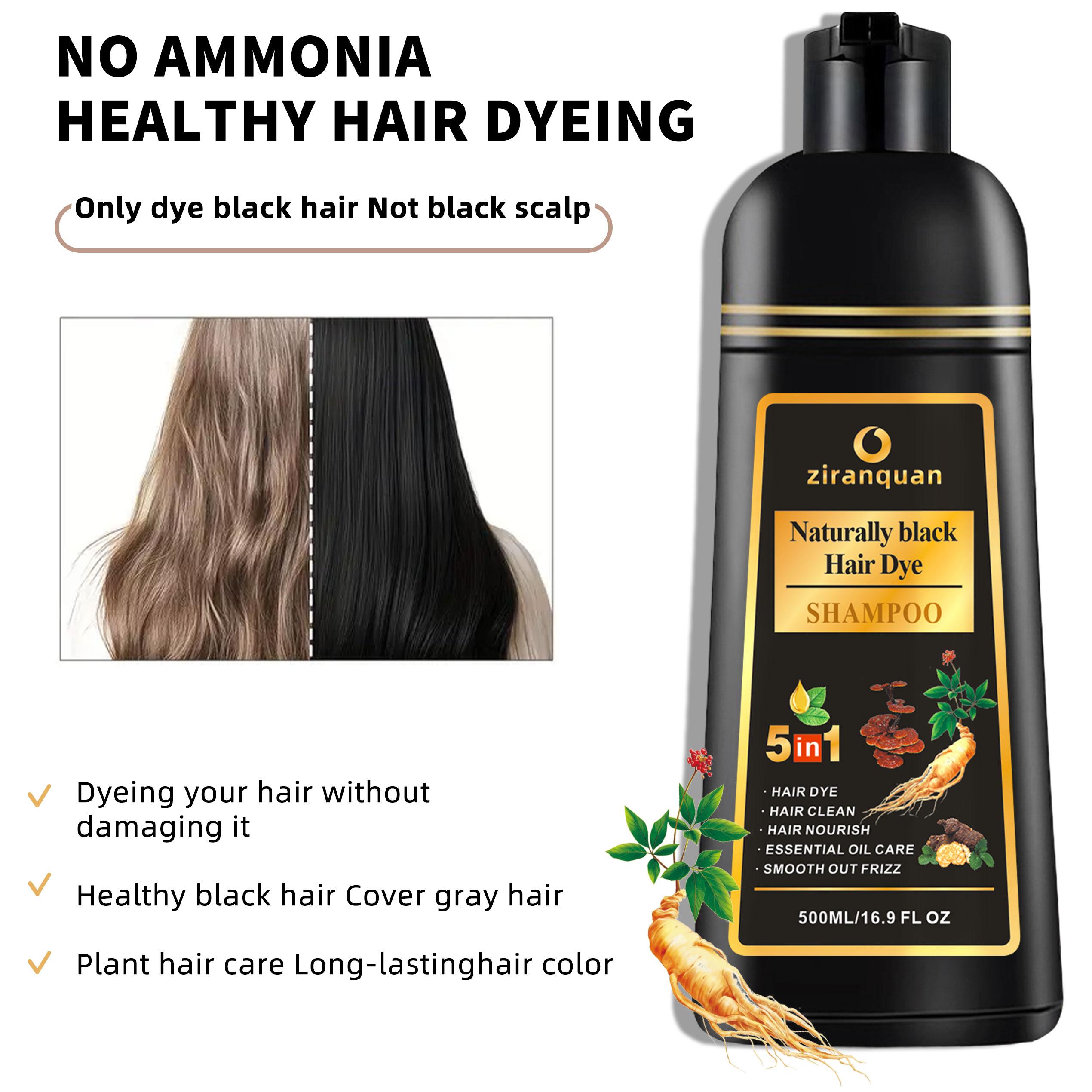 Mens Natural Black Hair & Beard Dye, Ammonia-Free with He Shou Wu | 15-Min Instant Gray Coverage (100% Even Tone) | Permanent Color Safe for Treated Hair, Non-Irritating for Facial Skin | 500ml Kit with Brush, At Home Use for Hair & Mustache