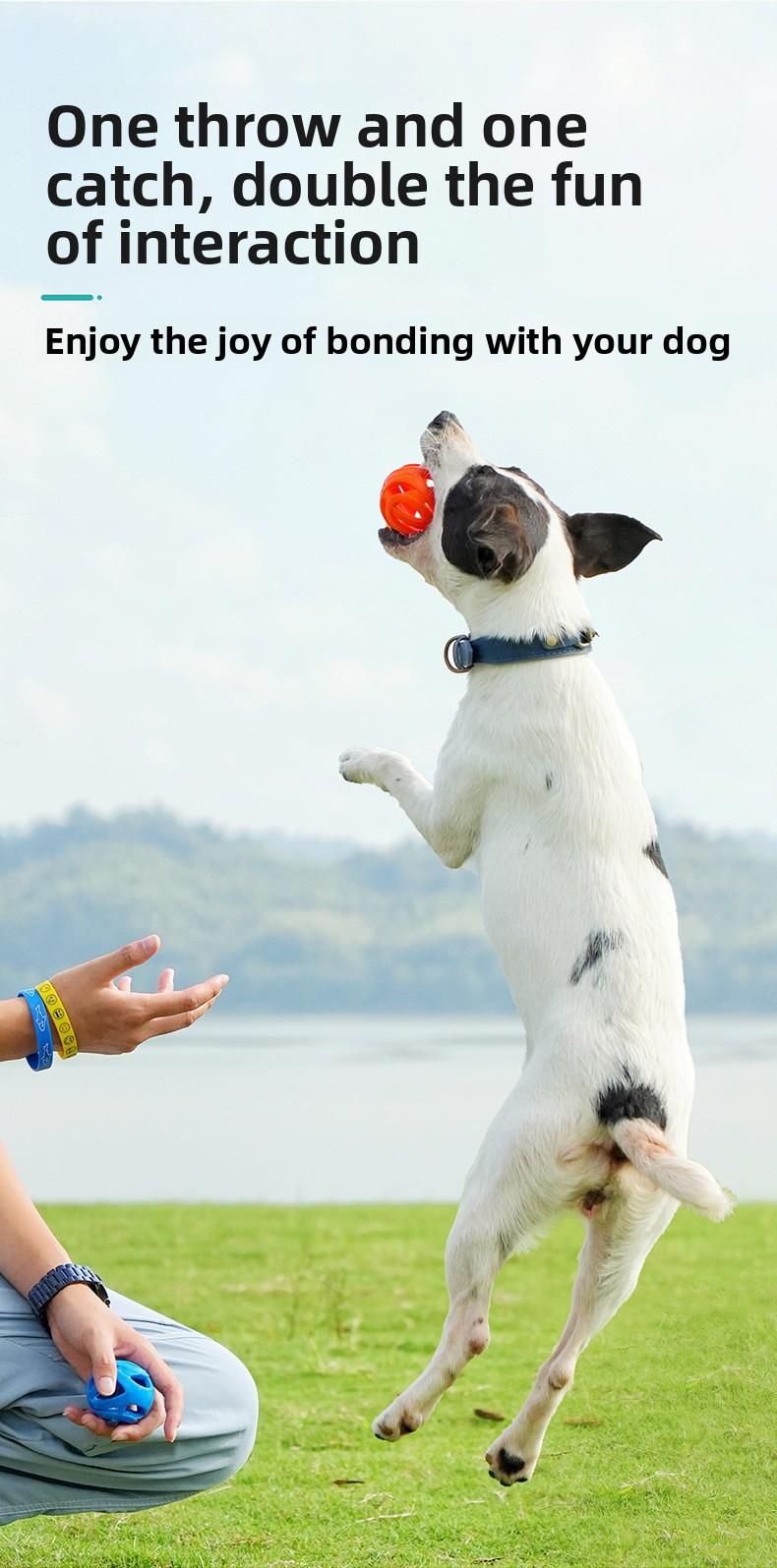 Pet toy hollow ball grinding teeth bite-resistant elastic rubber ball dog self-high outdoor throwing buoyancy toy