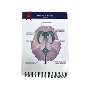 Anatomical Structure Labeling Exercise Book over 100 Full-Color Dry Erase Pages, Learning Human Anatomy Terms and Illustrations