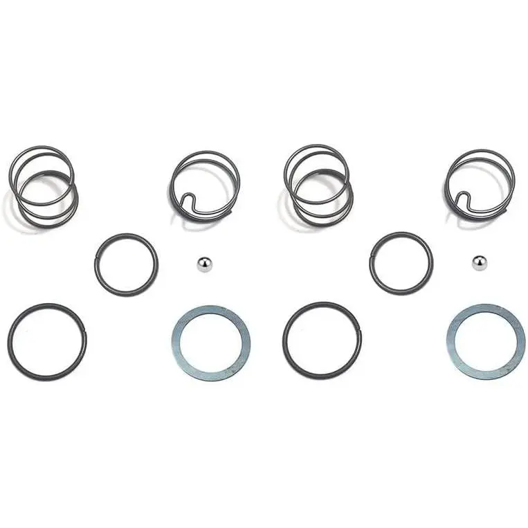 2 SET N078434 N089668 Spring Kits with Steel Ball, Fit DCF885 DCF886,  Driver Spring Kit